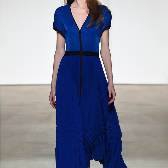 Barbara Casasola Pleated Crepe De Chine Midi Dress - Picture 1 of 12